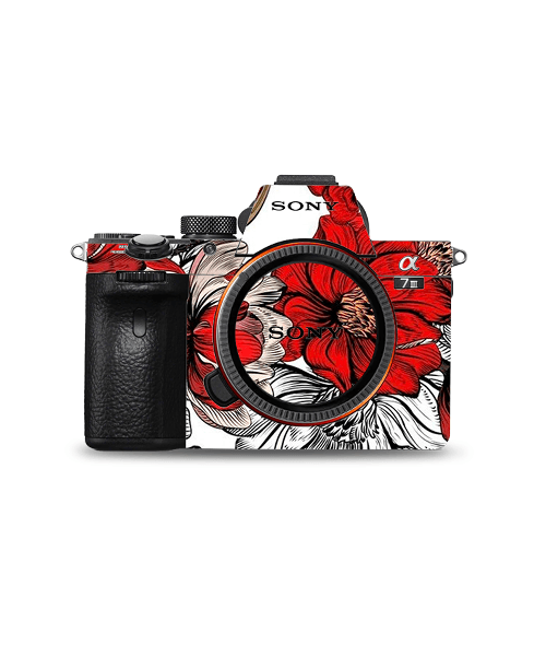 cam27