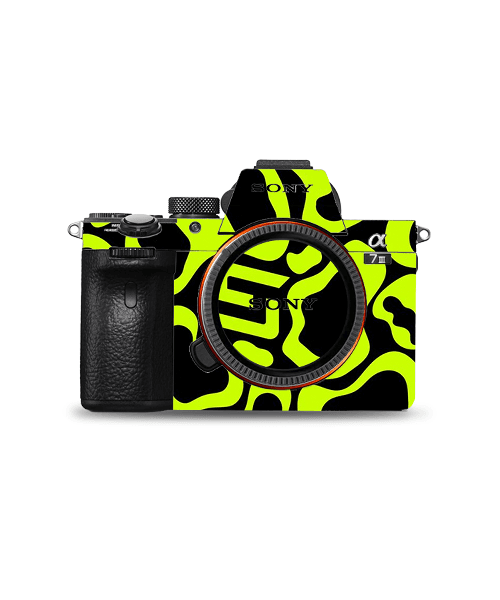 cam6