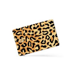 Cheetah01